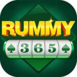 rummy-365
